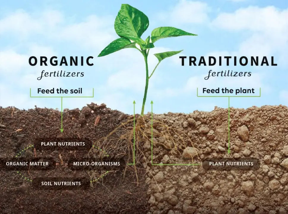 Why petroleum based Fertilisers, Herbicides, Fungicides, Insecticides should have no place in our food system - Chief Nutrition