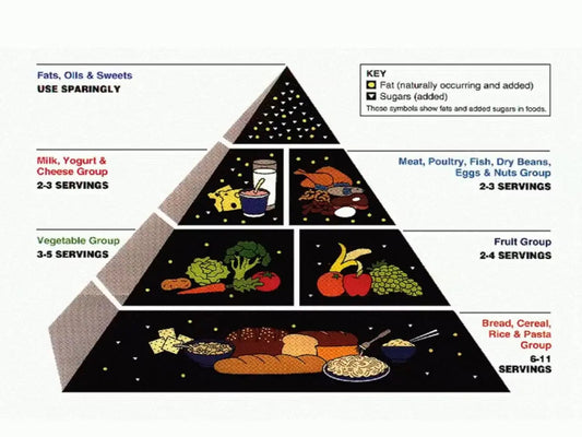 The corrupt history of the food pyramid - Chief Nutrition