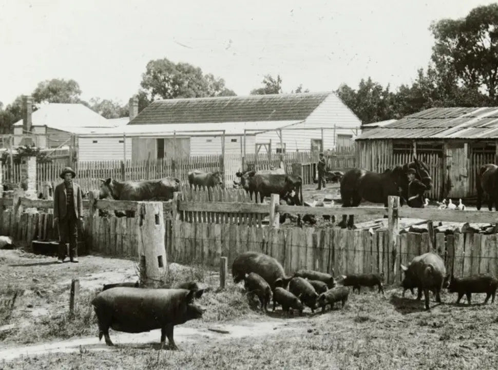 10 Reasons Our Grandparents Were Healthier Than Us - Chief Nutrition