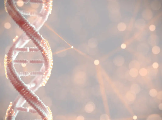 How genetic test helps you to achieve the best health, fitness and physique outcomes. - Chief Nutrition