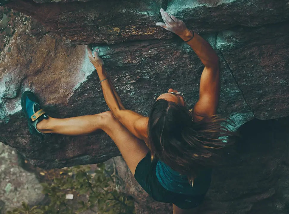 Chief Pillars of Musculoskeletal Rehabilitation - Chief Nutrition