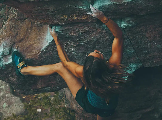 Chief Pillars of Musculoskeletal Rehabilitation - Chief Nutrition