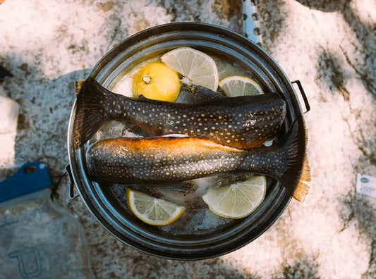 Top 10 Lean and Nutrient Dense Foods - Chief Nutrition