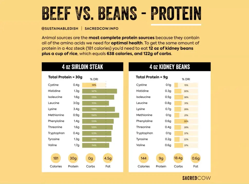 Ending the Anti-meat Narrative with Diana Rodgers - Chief Nutrition