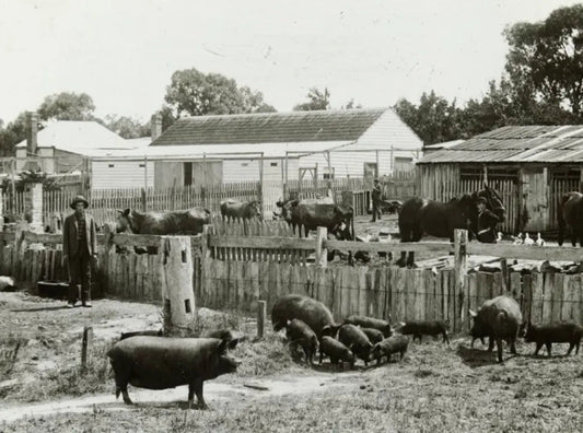 10 Reasons Our Grandparents Were Healthier Than Us - Chief Nutrition